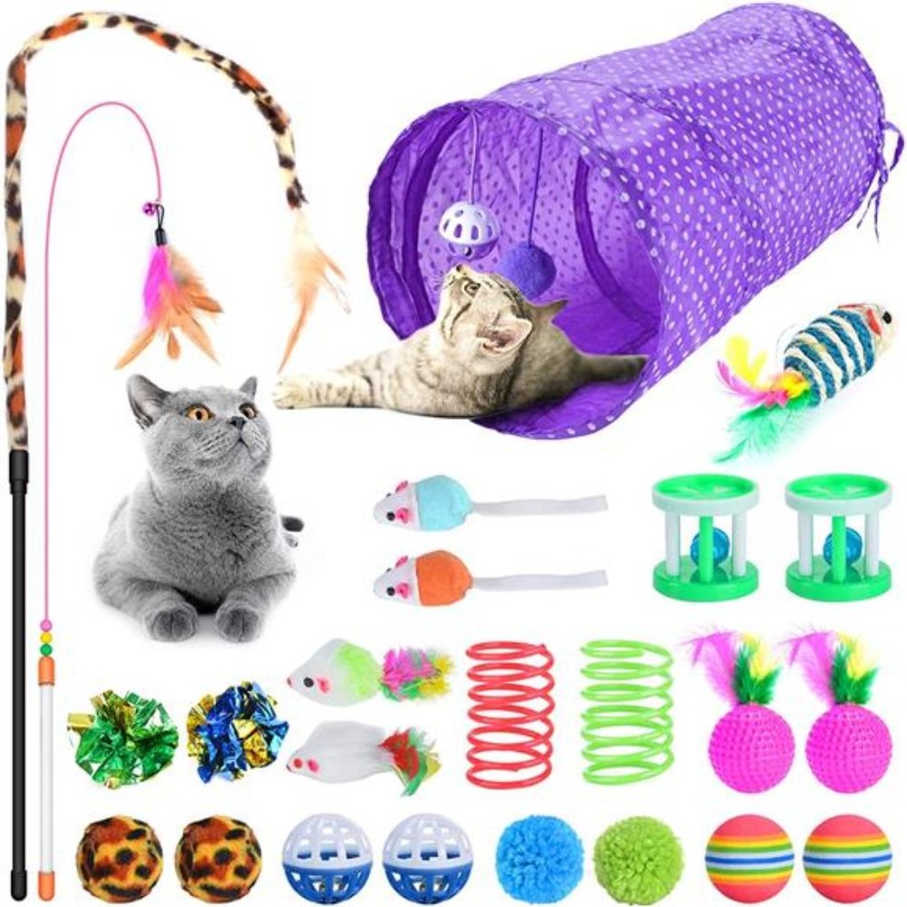 24PCS Cat Toys Set Interactive Kitten Toys for Indoor Cats Catnip Toy Kitten
